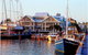 Pelicans Landing - thumb 0
