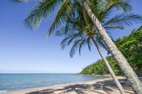 Roydon Beachfront Holiday Apartments - Hotel Gold Coast 4