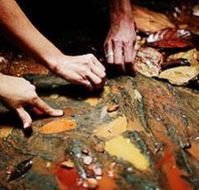 Daintree Eco Lodge And Spa - Hotel Gold Coast