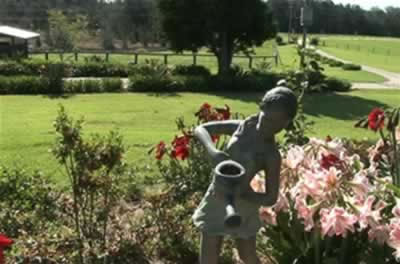 Jacaranda Country Lodge - Hotel Gold Coast 2