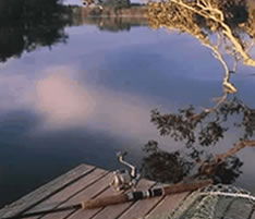 Jacaranda Country Lodge - Hotel Gold Coast 4