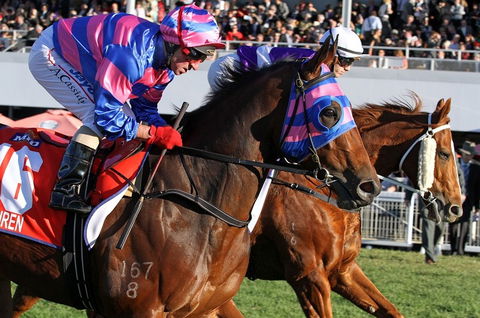 Quest Ascot - Hotel Gold Coast 4