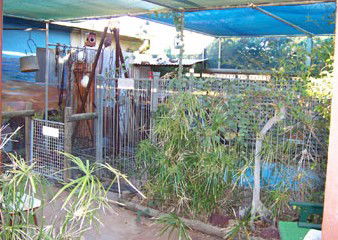 Safari Lodge Motel - Hotel Gold Coast 1