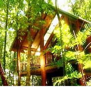 The Canopy Treehouses - Hotel Gold Coast