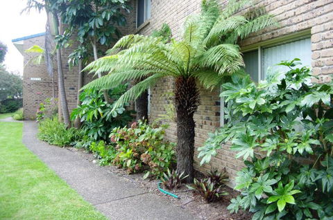 Beachfront Units Merimbula - Hotel Gold Coast 3