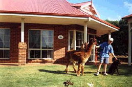  Hotel Gold Coast