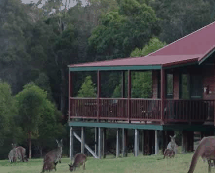 Walpole Wilderness Resort - Hotel Gold Coast