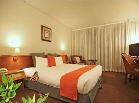 Absolute Beachfront Novotel Pacific Bay - Hotel Gold Coast 1