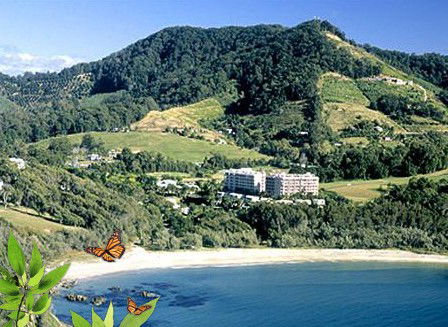 Absolute Beachfront Novotel Pacific Bay - Hotel Gold Coast 3