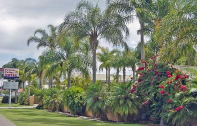Forster Palms Motel - Hotel Gold Coast 2