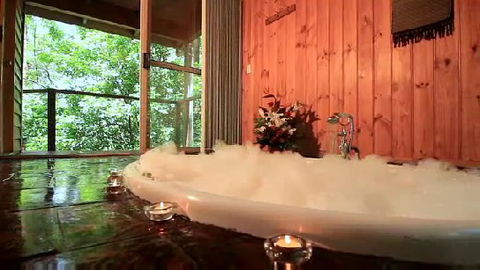 Tree Houses Of Montville - Hotel Gold Coast 0