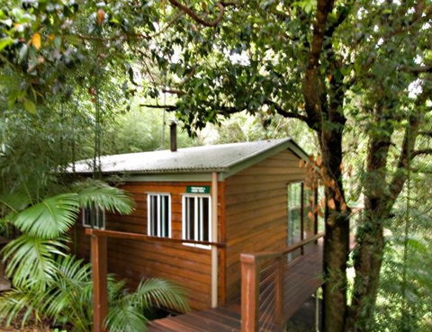 Tree Houses Of Montville - Hotel Gold Coast 2