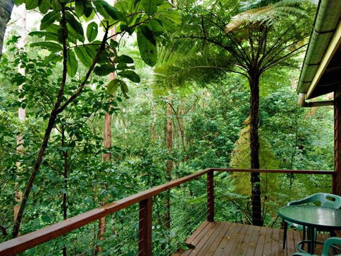 Tree Houses Of Montville - Hotel Gold Coast 3