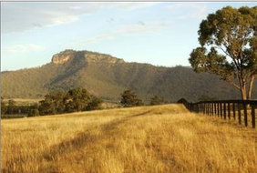 Book Broke Accommodation Vacations Hotel Gold Coast Hotel Gold Coast