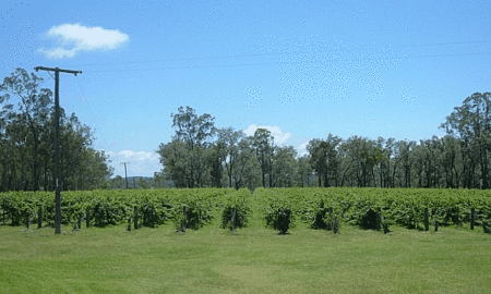 Copper Country Motor Inn - Hotel Gold Coast 3