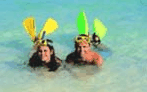 Adventure Island Whitsundays (south Molle Island) - thumb 5