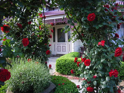 Bed And Breakfast At Stephanie's - Hotel Gold Coast 0