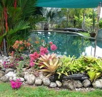 Daintree Wild Bed And Breakfast - Hotel Gold Coast