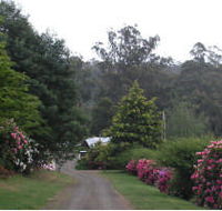 Mountain Rivers Lodge - Hotel Gold Coast