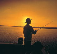 Point Stuart Wilderness Lodge - Hotel Gold Coast