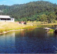 Millybrook Lodge - Hotel Gold Coast