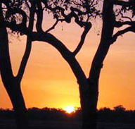 Coodardie Station Stay - Hotel Gold Coast
