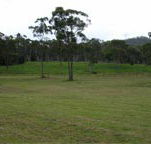 Mt White Lodge - Hotel Gold Coast