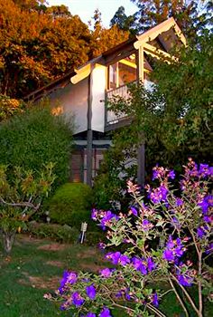 Annie Roe's Luxury Bed & Breakfast - Hotel Gold Coast 4