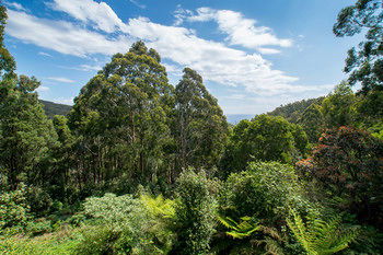 A Camelot Tower & Penthouse - Hotel Gold Coast 46