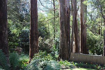 Adeline Bed And Breakfast - Hotel Gold Coast 8