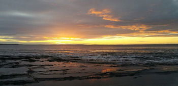 The Huskisson - Hotel Gold Coast 13