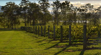 H Boutique Hotel - Hotel Gold Coast 34