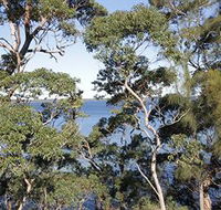 The Edgewater Bed amp Breakfast - Hotel Gold Coast
