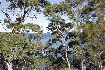 The Edgewater Bed & Breakfast - Hotel Gold Coast 0