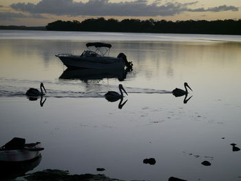 Dungowan Waterfront Apartments - Hotel Gold Coast 143