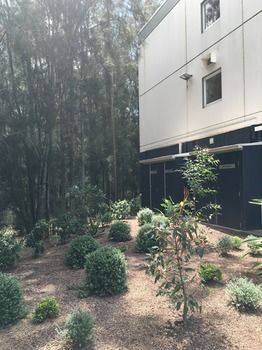 Ibis Budget Gosford - Hotel Gold Coast 14