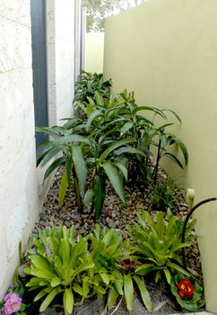 By The Beach B&B And Apartments - Hotel Gold Coast 5