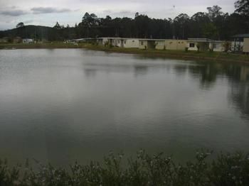 Australian Motor Homes Tourist Park - Hotel Gold Coast 3