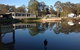 Australian Motor Homes Tourist Park - thumb 14