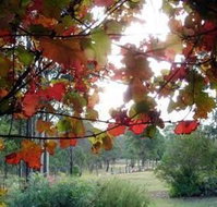 Elfin Hill Country Accommodation - Hotel Gold Coast