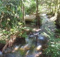 Treetops Accommodation Montville - Hotel Gold Coast