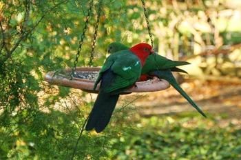 Glenview Retreat Luxury Bed & Breakfast - Hotel Gold Coast 12