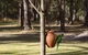 Woollamia Village Retreat - thumb 2
