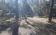 Woollamia Village Retreat - thumb 43