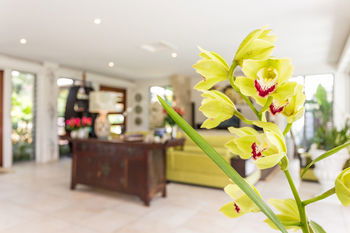 Alaya Verde - Hotel Gold Coast 29