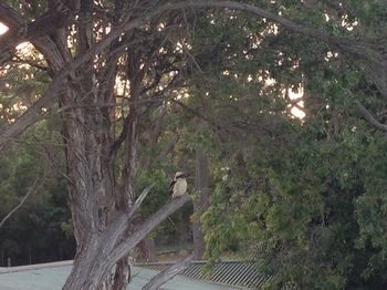 Huskisson Beach Bed And Breakfast - Hotel Gold Coast 7
