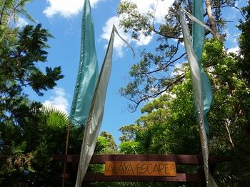 Alaya Escape - Hotel Gold Coast 56