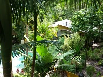 Alaya Escape - Hotel Gold Coast 61