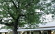 A Settler's Cottage - thumb 17