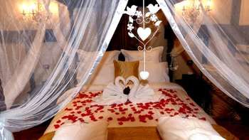 Aquila Nova Retreat - Hotel Gold Coast 39